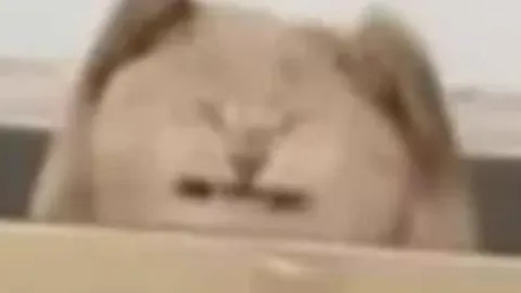 那不勒斯追逐霍伊伦，曼联计划以解约金收购奥斯梅恩